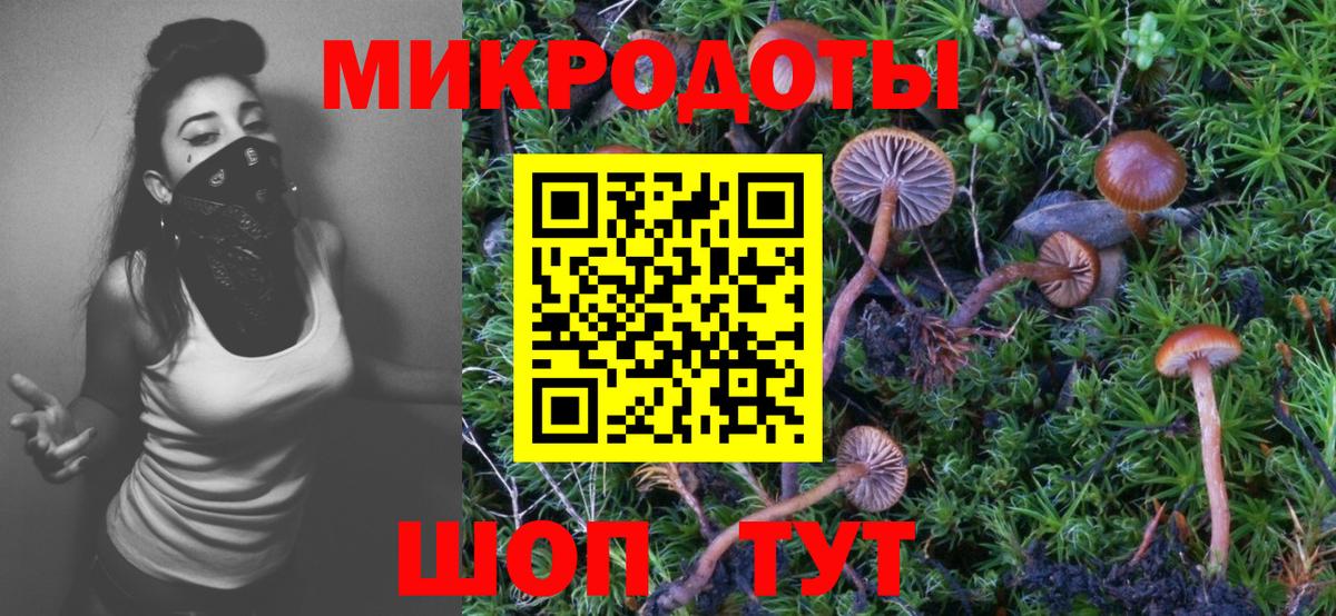 Химки  Псилоцибиновые грибы прущие грибы  Вход с VPN 