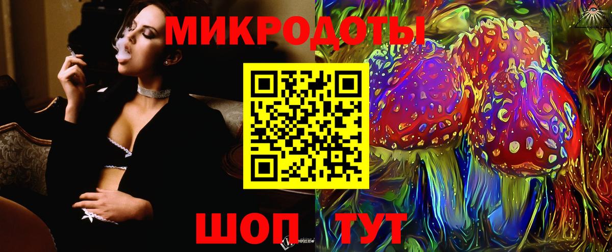 Галлюциногенные грибы Psilocybine cubensis Химки